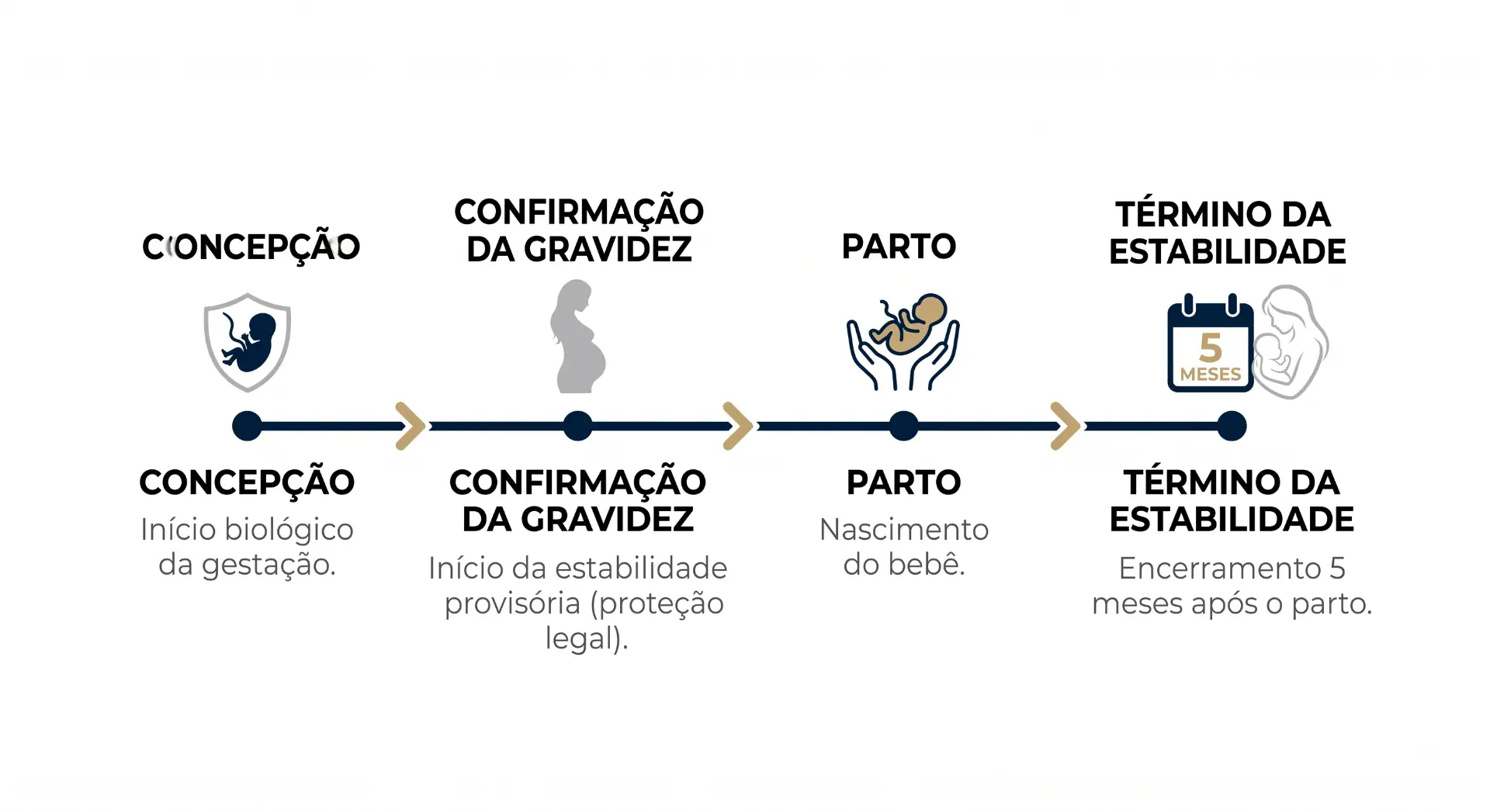 Infográfico com linha do tempo da gestação: concepção, confirmação da gravidez, parto e término da estabilidade, incluindo “Concepção”, “Confirmação da gravidez”, “Parto” e “Término da estabilidade” com explicações em texto.